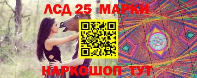 Альфа ПВП Можга