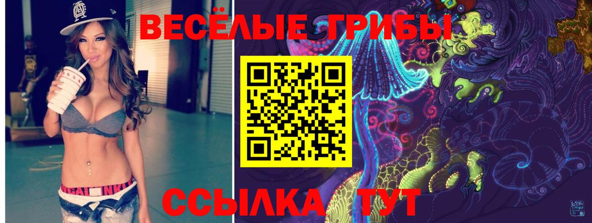 Галлюциногенные грибы Magic Shrooms Таганрог